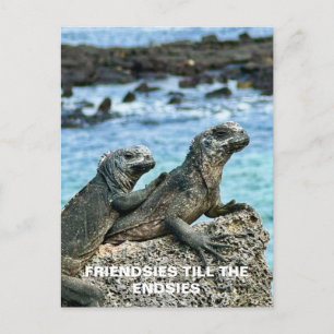 Best Friends Postcard Postkarte