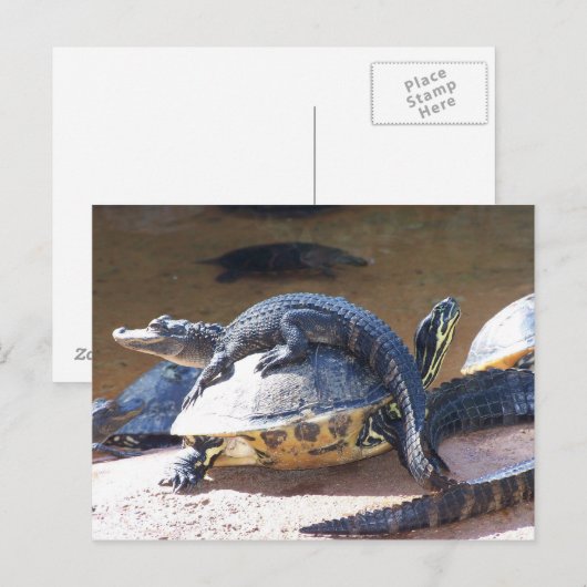 Best Friends Postkarte (Vorne/Hinten)