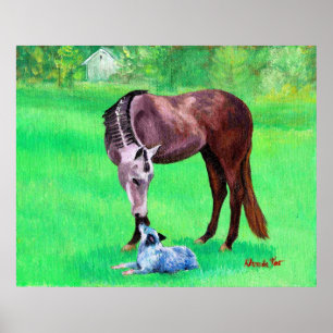 Best Friends Quarter Horse Australian Cattle Dog Poster