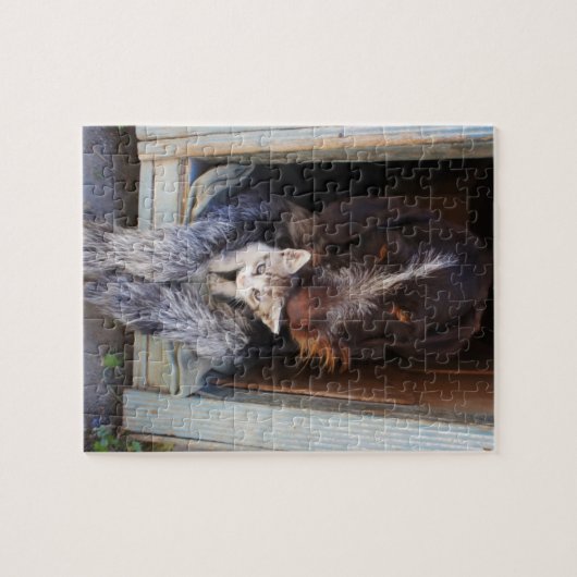 Best "Furry" Friends Puzzle (Horizontal)