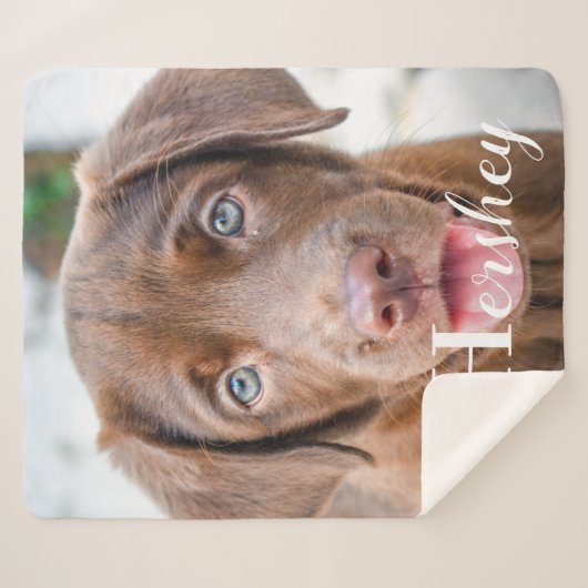 Best Hund Personalisiert Pet Labrador Puppy Foto Sherpadecke (Vorderseite (Horizontal))