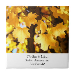 Best in Life.. Lächeln Herbst besten Freunde Tiles Fliese