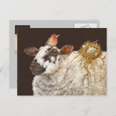 Best Nest Postcard Postkarte (Vorne/Hinten)