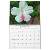 Best of Hawaii 2023-2024 Calendar Kalender (Feb 2027)