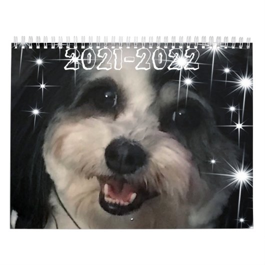 Best of K-Cee Niedlich Zuchon Dog 2021-2022 Kalender (Titelbild)