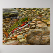 Best of Show 2004 Poster (Vorne)