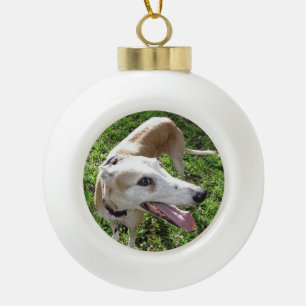 Best Pet Christmas Ornament