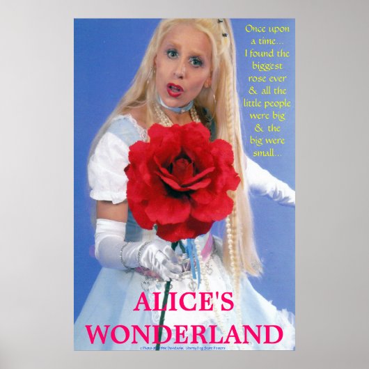 BEST POSTERS - ALICE IM WUNDERLAND - EINE NEUE GES POSTER (Vorne)