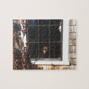 Best Seat in the Barn! — Puzzle