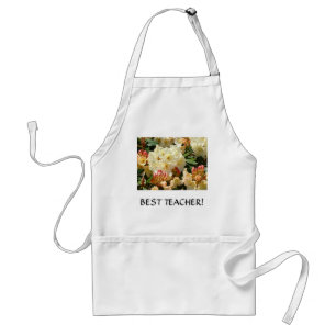 BEST TEACH ER GIFT Kunstgewerbe Schürze Rhodies
