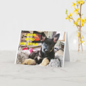 **BEST VETERINARISCH JE**GLÜCKLICHER GEBURTSTAG KARTE (Gelbe Blume)