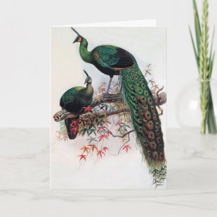 Best wishes, friends, family, Peacock Karte