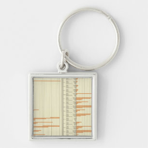 Bestand in landwirtschaftlichen Betrieben 1880 Schlüsselanhänger