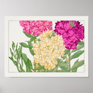 Bestand von Tanigami Konan Poster