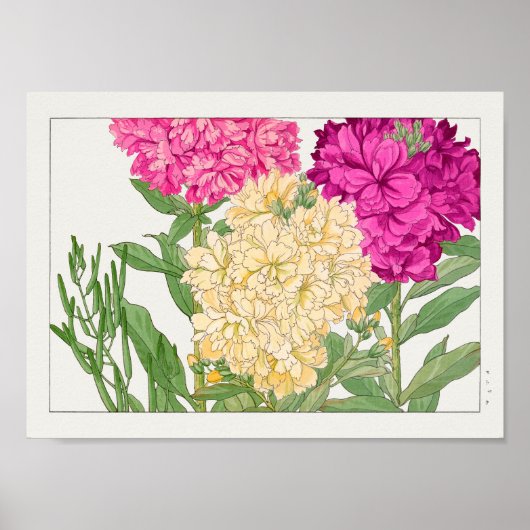 Bestand von Tanigami Konan Poster (Vorne)