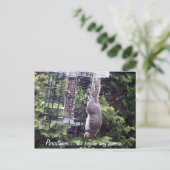 Beständigkeit Postkarte (Stehend Vorderseite)