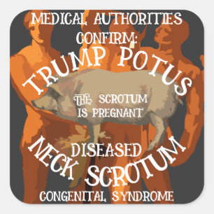BESTÄTIGT, DASS TRUMP SCHWANGERSCHUTZ HAT QUADRATISCHER AUFKLEBER