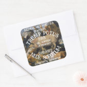 BESTÄTIGT, DASS TRUMP SCHWANGERSCHUTZ HAT QUADRATISCHER AUFKLEBER (Umschlag)