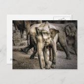 Bestätigung Postkarte (Vorne/Hinten)