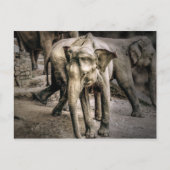 Bestätigung Postkarte (Vorderseite)