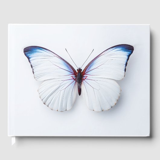 Bestattungsgast-Schmetterling Gästebuch (Vorderseite)