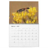 Bestäuber-Kalender 2027 Kalender (Feb 2027)