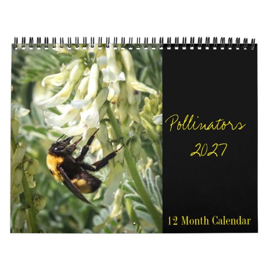 Bestäuber-Kalender 2027 Kalender (Titelbild)