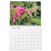 Bestäuber-Kalender 2027 Kalender (Jan 2027)
