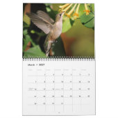 Bestäuber-Kalender 2027 Kalender (Mär 2027)
