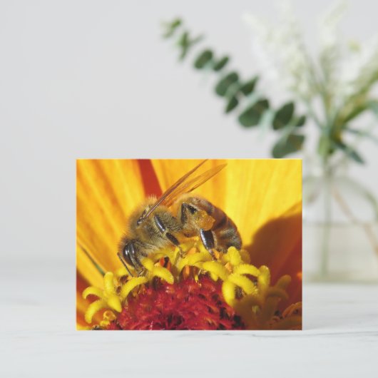 Bestäubung Nah Postkarte (Stehend Vorderseite)