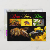 Bestäubung von Bienen Postkarte (Vorne/Hinten)