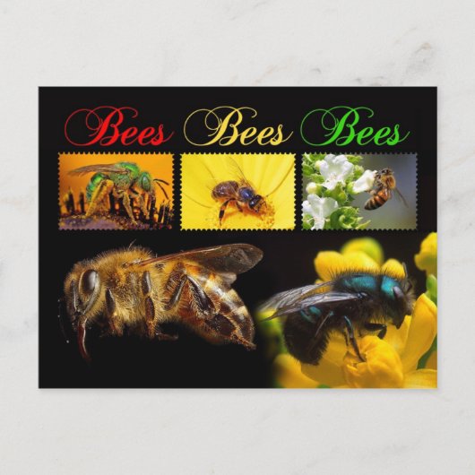 Bestäubung von Bienen Postkarte (Vorderseite)