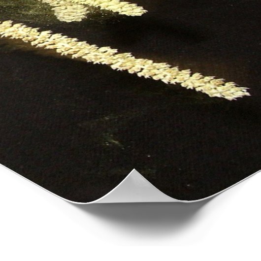 Bestäubung von Katzen Poster (Ecke)