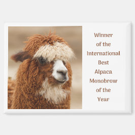 Beste Alpaka-Monobrow Magnet