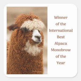 Beste Alpaka-Monobrow Quadratischer Aufkleber