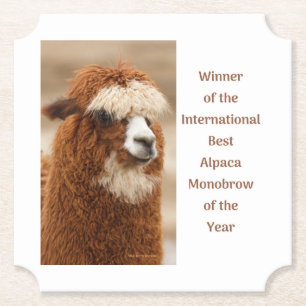 Beste Alpaka-Monobrow Untersetzer