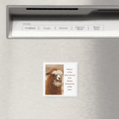 Beste Alpakaaugenbraue Magnet (In Situ (Geschirrspüler))