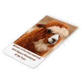 Beste Alpakaaugenbraue Magnet (Linke Seite)