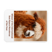 Beste Alpakas-Einstirnbraue Magnet (Horizontal)