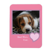 Beste Beagle-Mama je rosa Text-Pet-Foto Magnet (Vertikal)