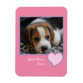 Beste Beagle-Mama je rosa Text-Pet-Foto Magnet