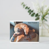 Beste Buddies Feiertagspostkarte (Stehend Vorderseite)