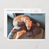 Beste Buddies Feiertagspostkarte (Vorne/Hinten)