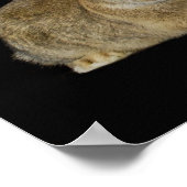 Beste Buddies Poster (Ecke)