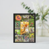 Beste Eichelfen Fotos-Mosaik-Postüberquerung Postkarte (Stehend Vorderseite)