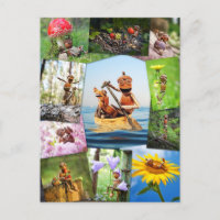 Beste Eichelfen Fotos-Mosaik-Postüberquerung