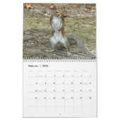 Beste Eichhörnchen-Foto Kalender (Feb 2026)