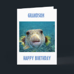 BESTE FANG DES TAGES **GRANDSONS GEBURTSTAG** KARTE<br><div class="desc">DIESER PUFFERFISCH IST SO BEREIT,  ZU SAGEN **IHR GRANDSON*** ER IST LIEBT AUF SEINEM *GEBURTSTAG* UND SIE HOFFEN,  ER KANN SICH GENIESSEN UND ENTSPANNEN AN SEINEM SONDERTAG!</div>
