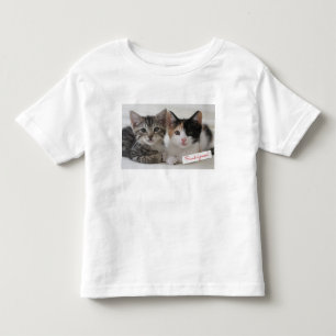 Beste Freund-Kätzchen-Tasse Kleinkind T-shirt