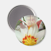 BESTE FREUND-MAGNET Tulpe-Blumen-Magnet-Geschenke Magnet (Vorderseite/Rückseite)